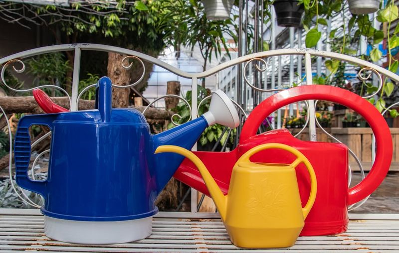 Watering Can with a Flair