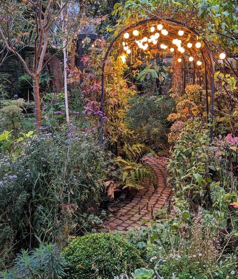 Whimsical Garden Path