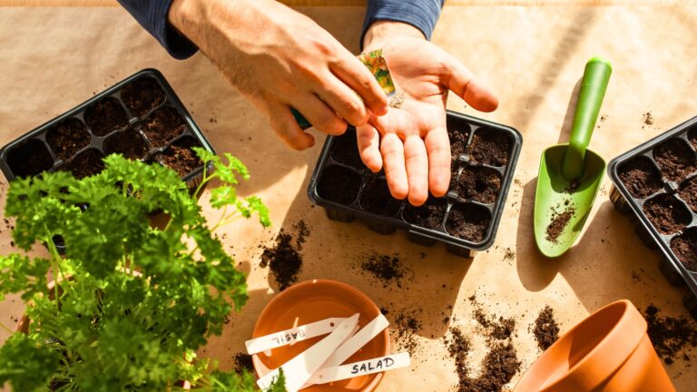 gardener planting seeds