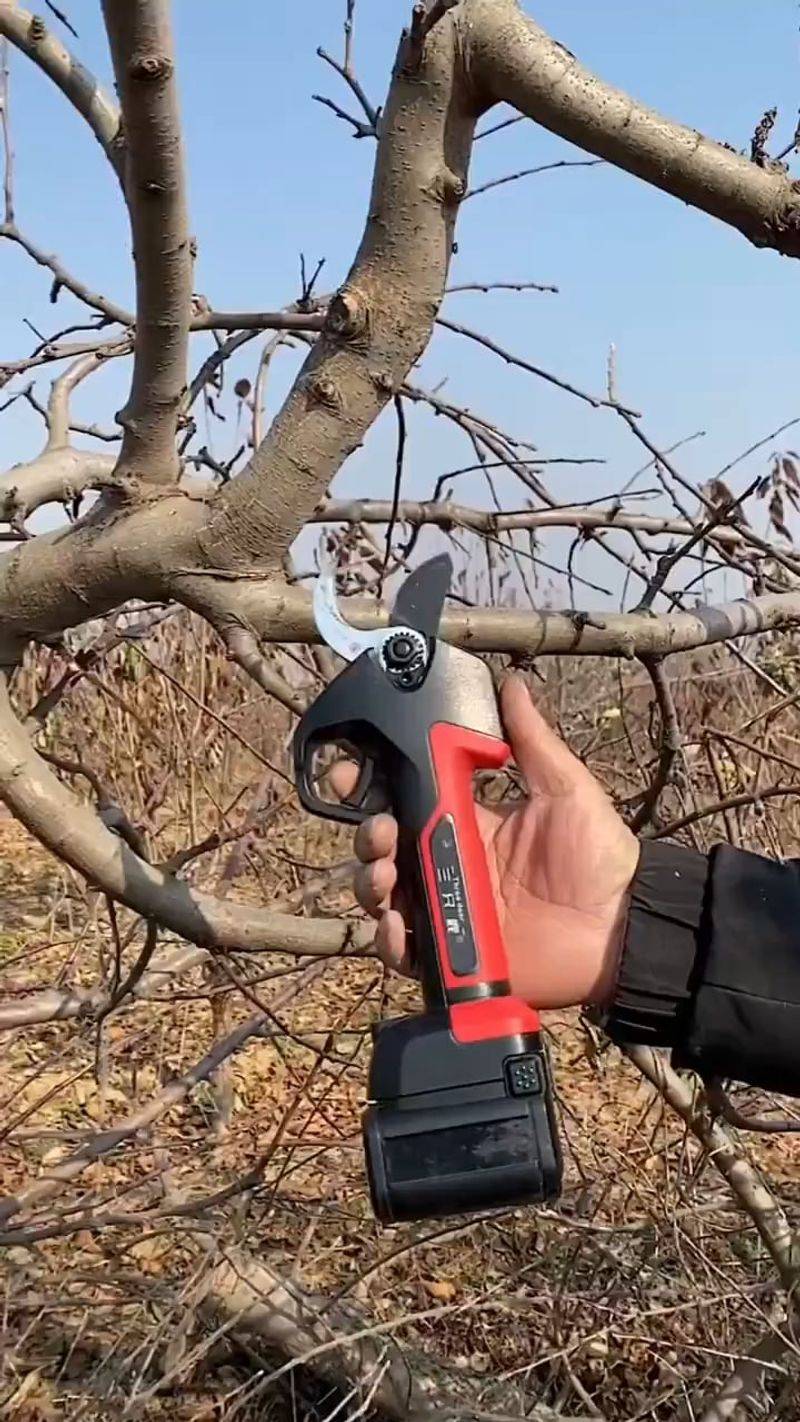 Prune with Precision