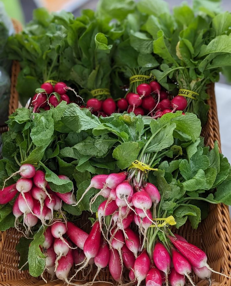 Radishes