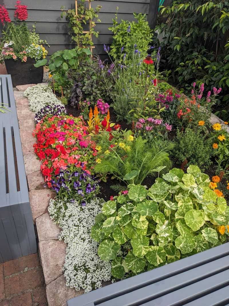 Edible Plant Beds