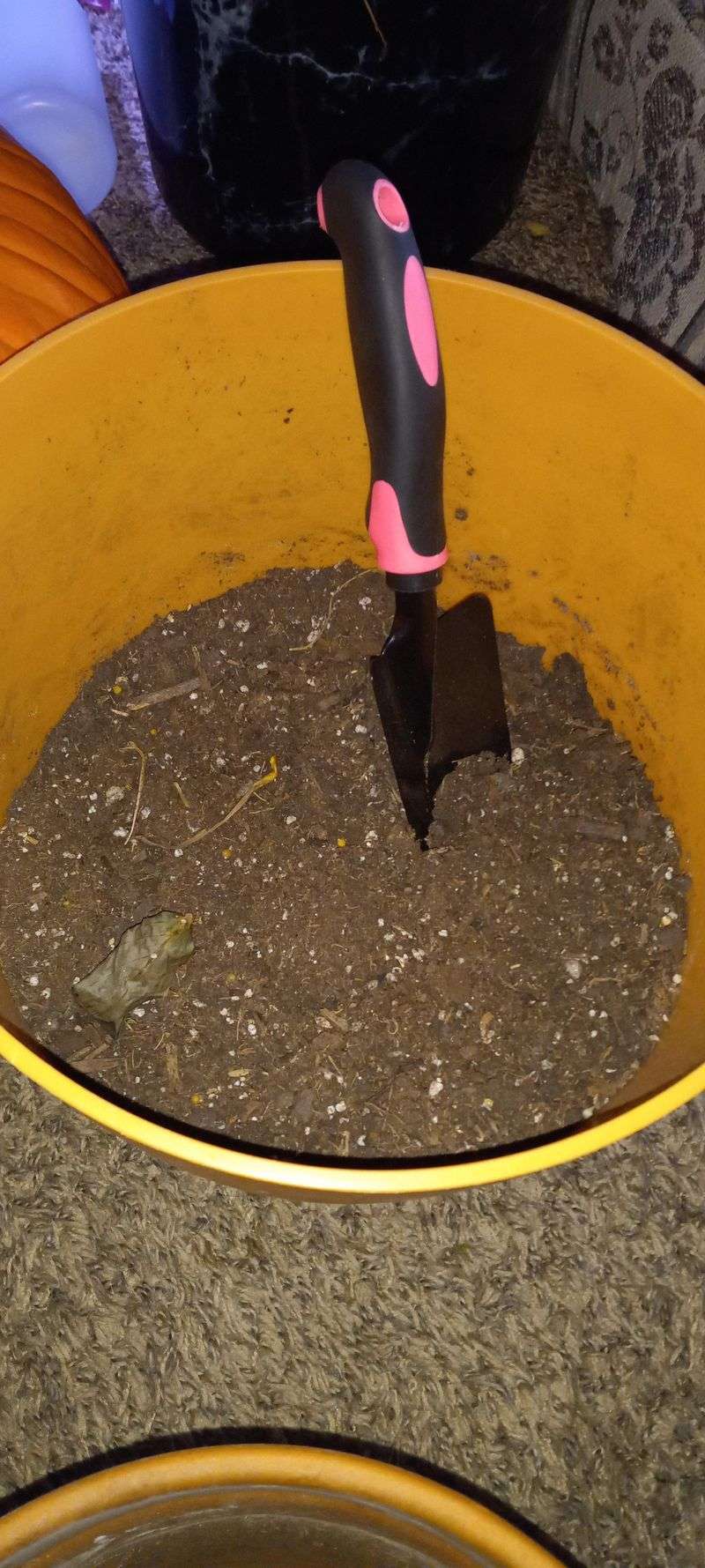 Add Potting Soil