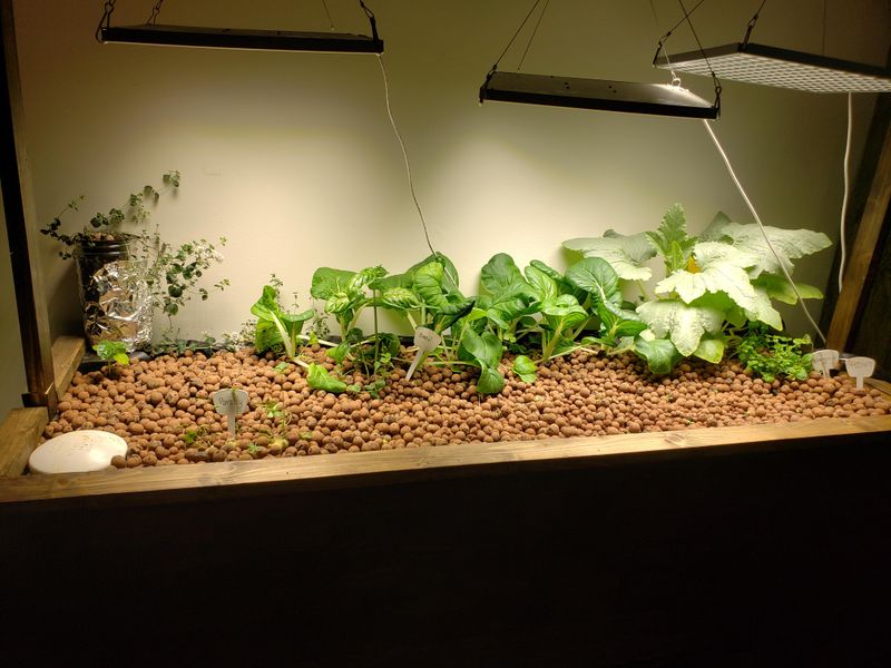 Aquaponics Adventure