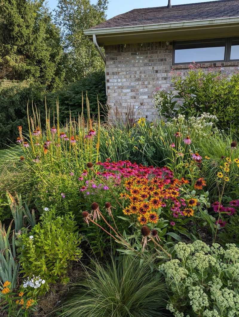 Native Plant Garden