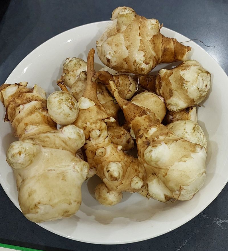 Jerusalem Artichoke