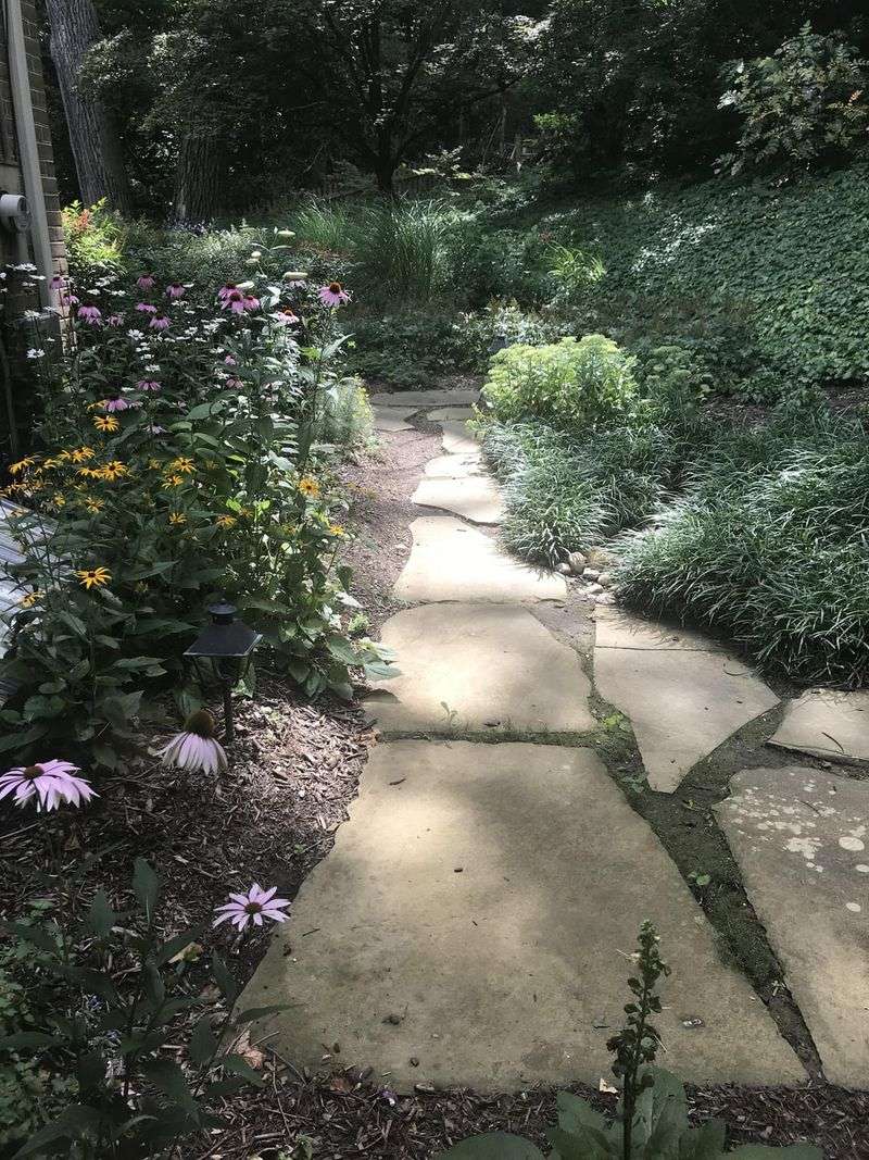 Whimsical Garden Pathway