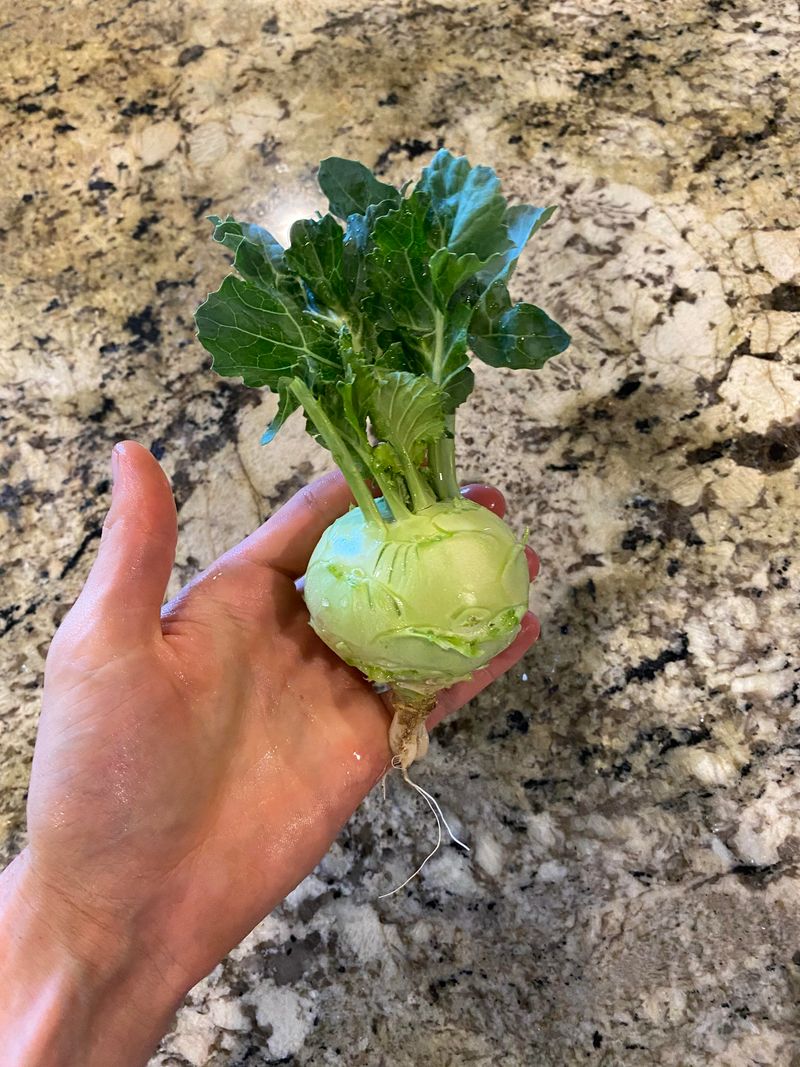 Kohlrabi