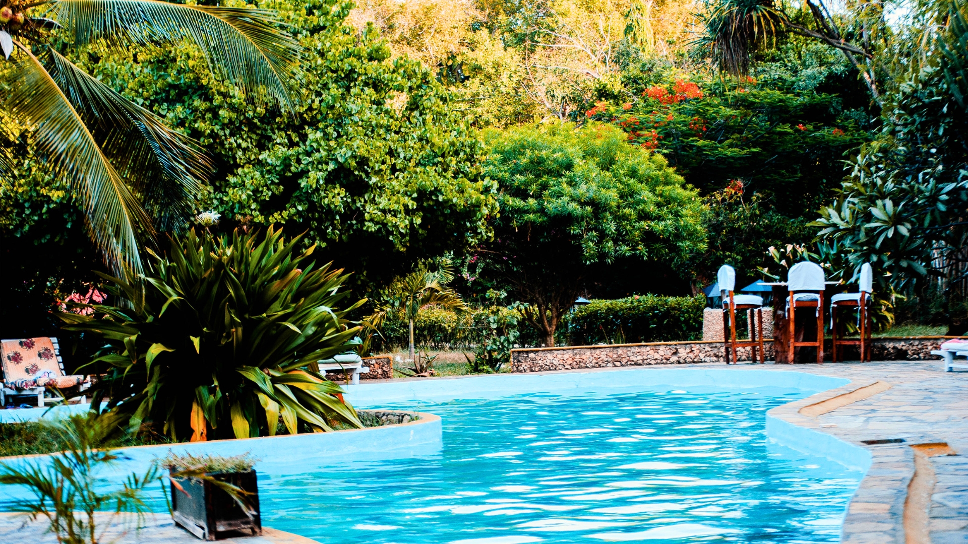 pool in the backyard