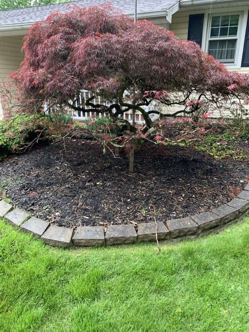 Improper Mulching