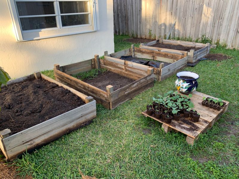 Skipping Crop Rotation