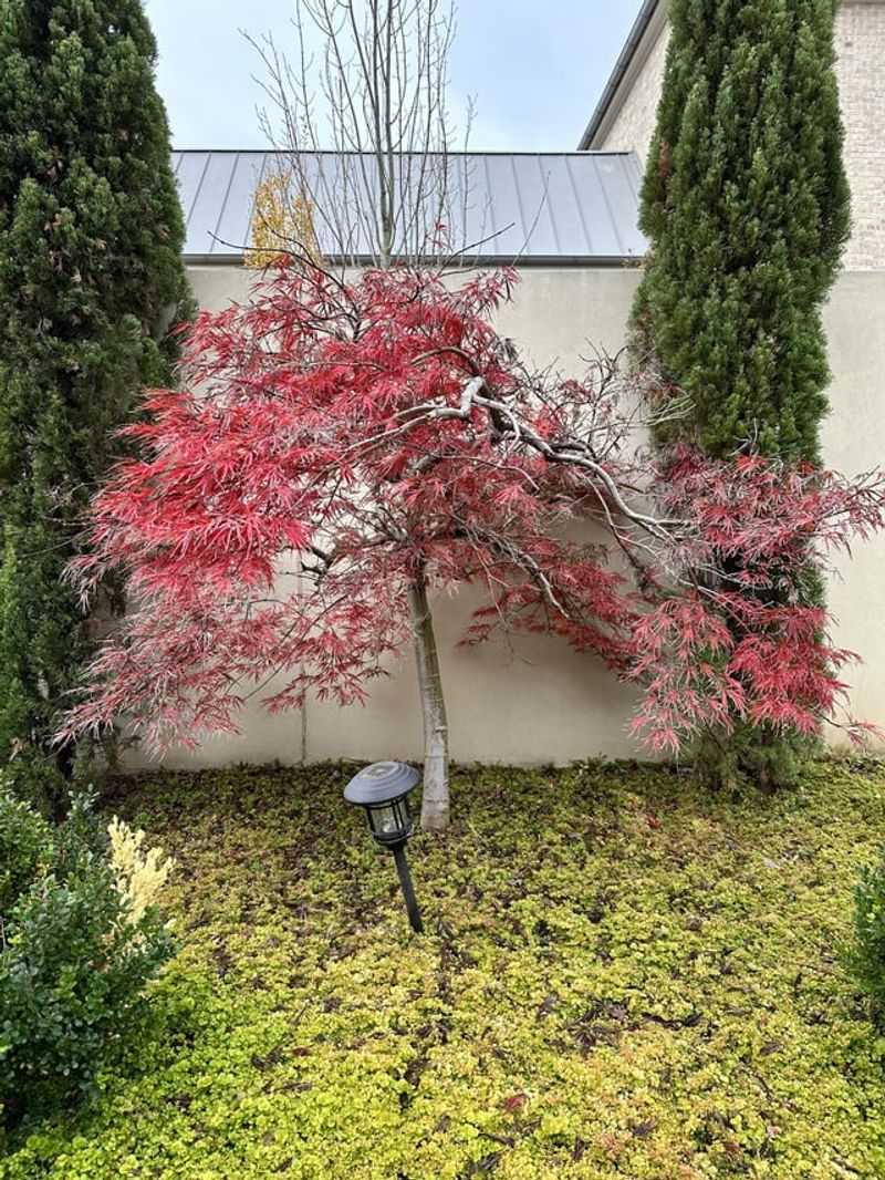 Pruning Pitfalls