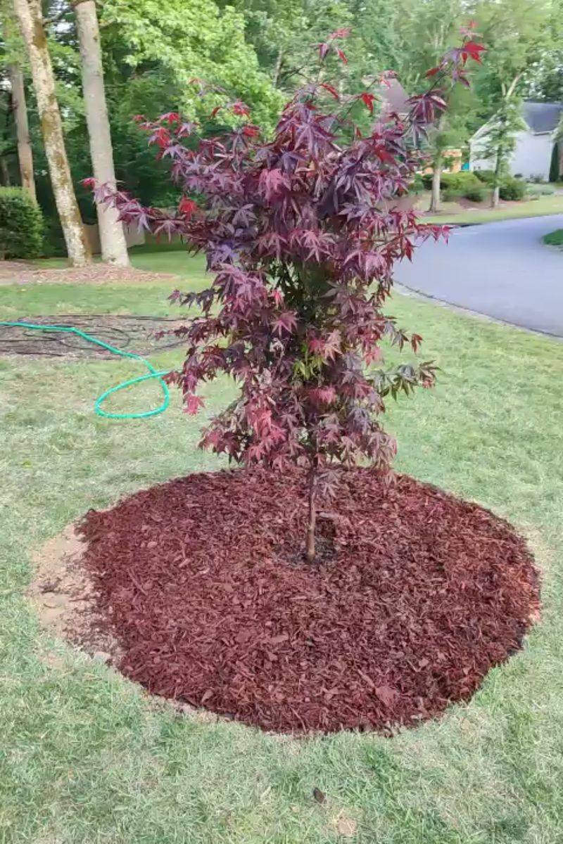 Soil Composition