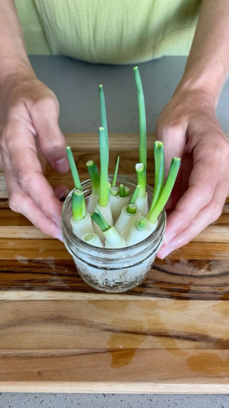 Green Onions