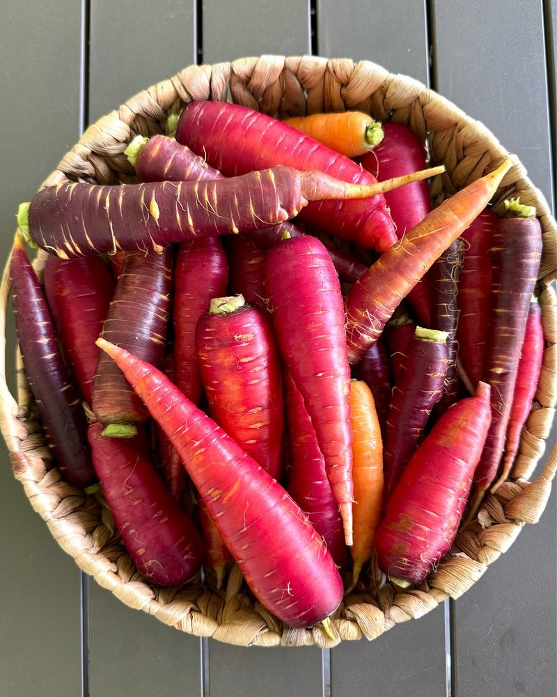 Dragon Carrots
