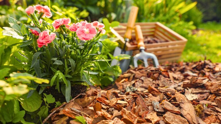 mulch