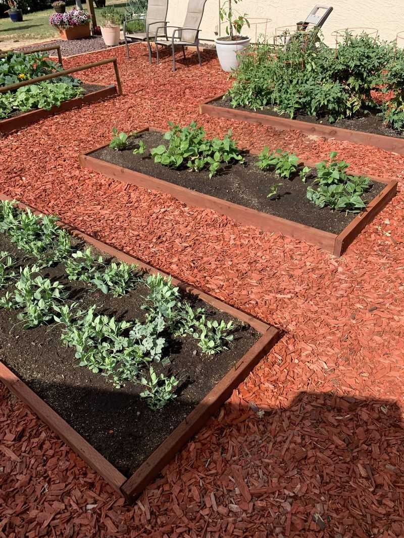Drought-Proof Your Garden Beds