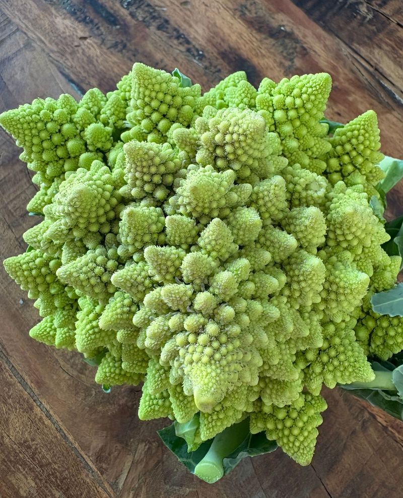 Romanesco Broccoli