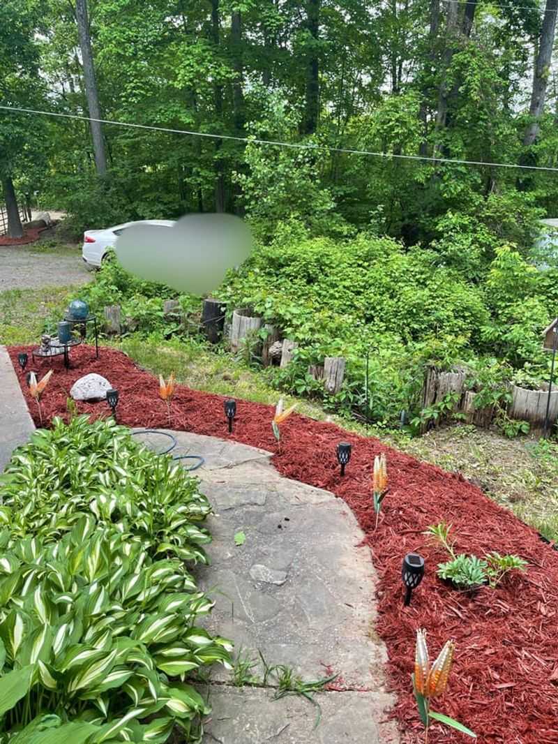 Create Stunning Mulch Pathways