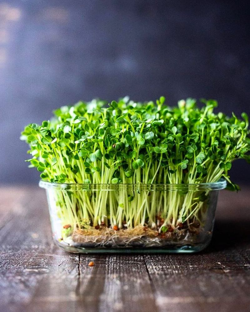 Microgreens
