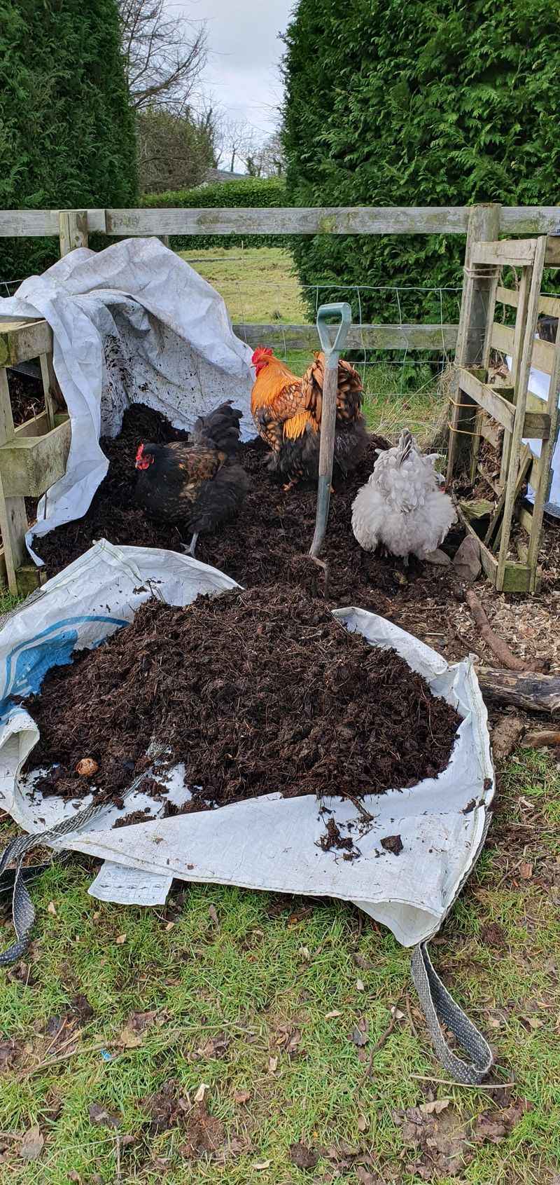 Natural Mulch Compost Accelerator