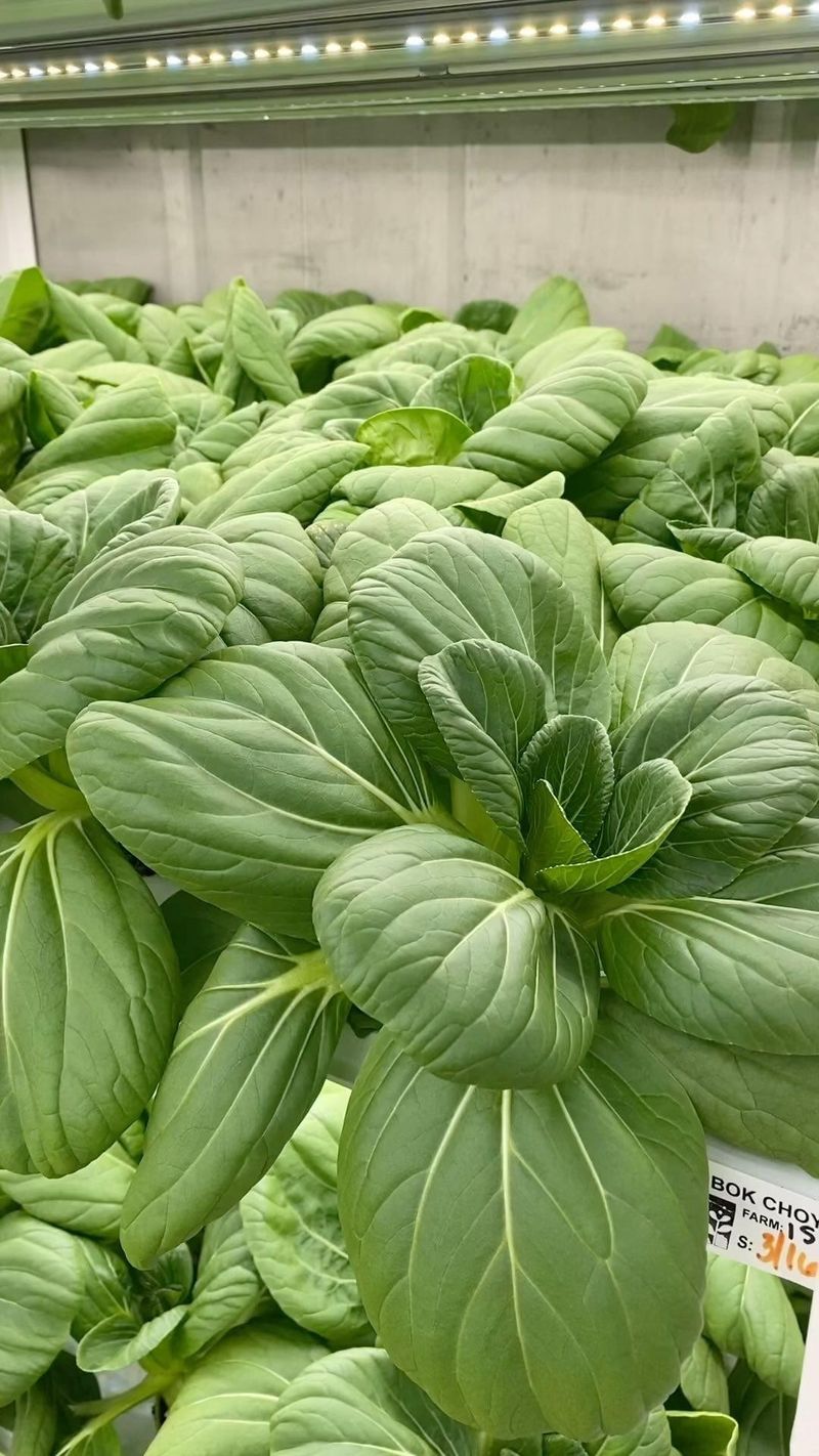 Bok Choy