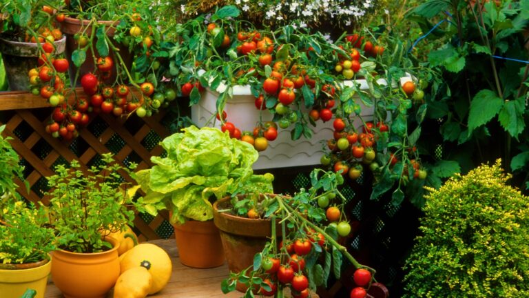 Vegetables
