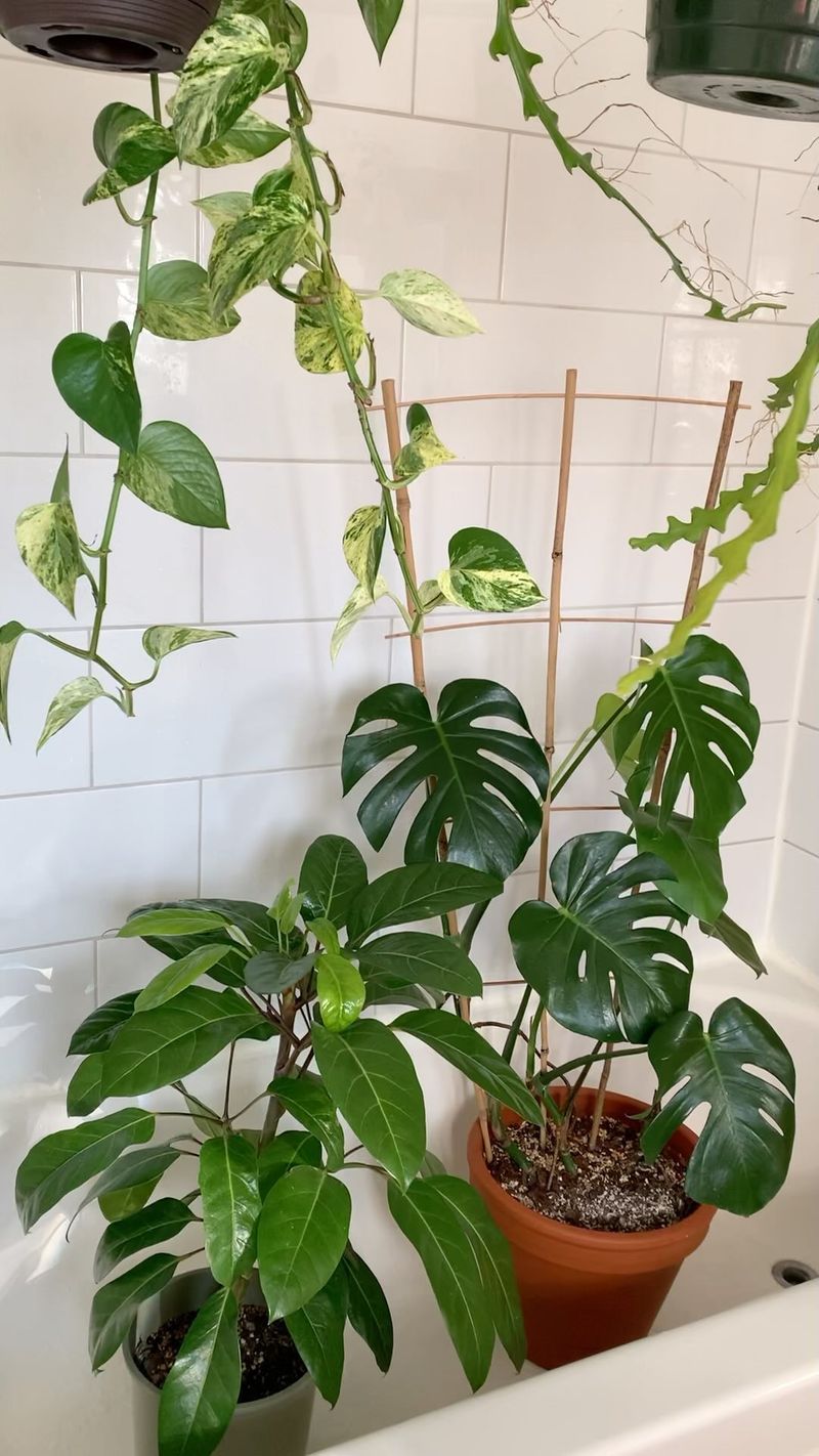 Humidity Boost