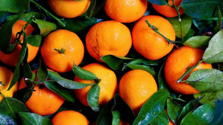 Citrus
