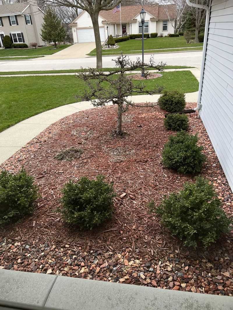 Instant Curb Appeal Booster