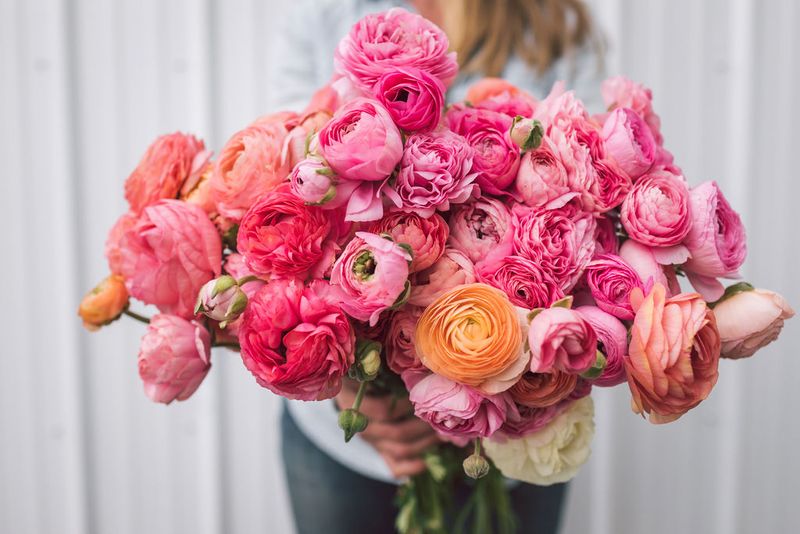 Ranunculus