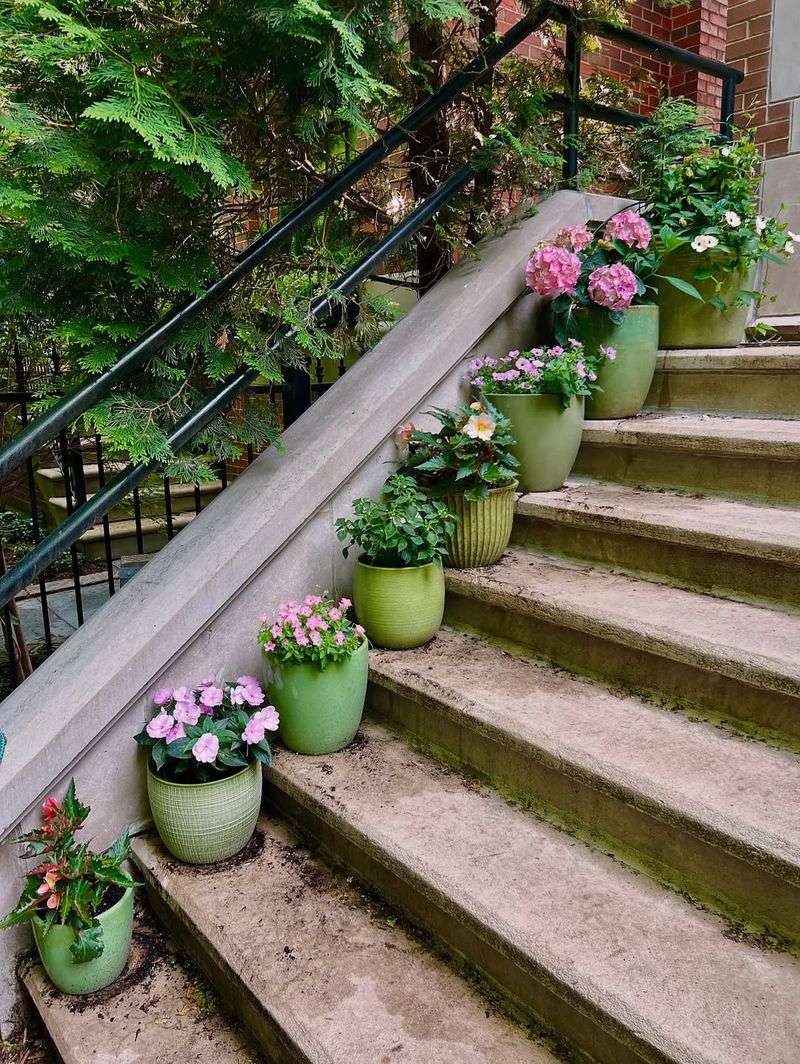 Succulent Step Garden