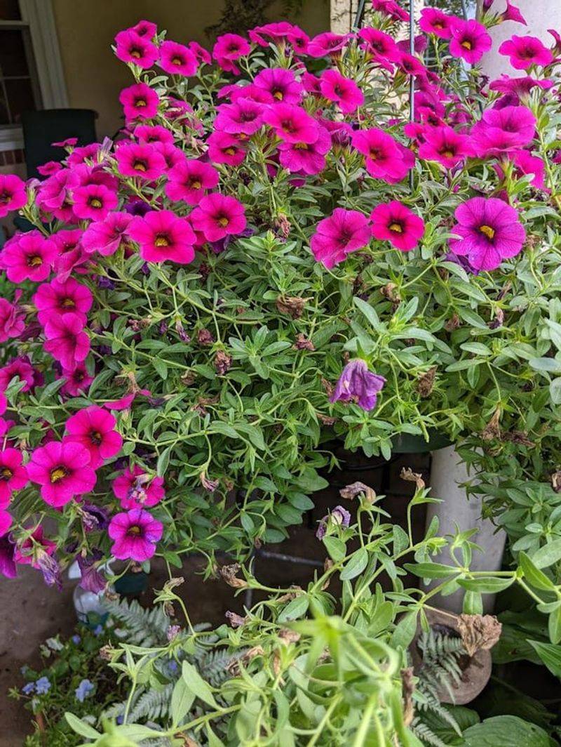 Deadheading Tricks