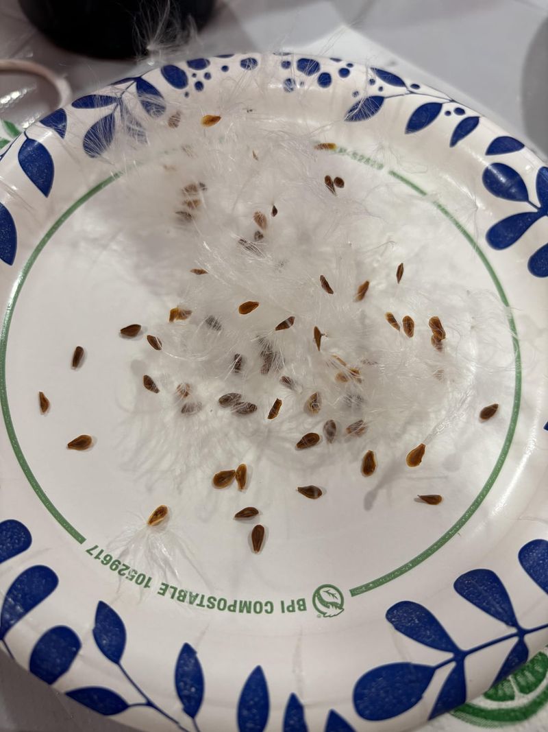 Collect and Share Seeds