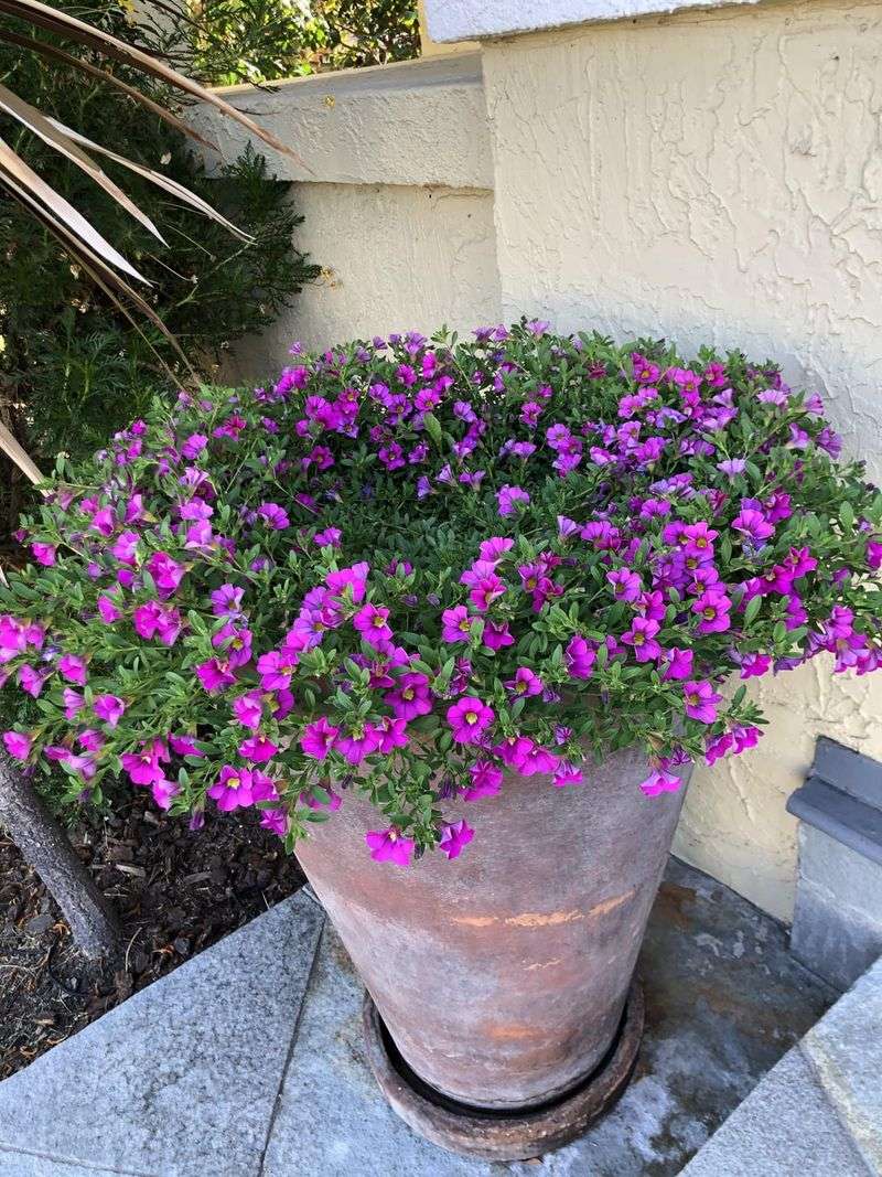 Propagation Pointers