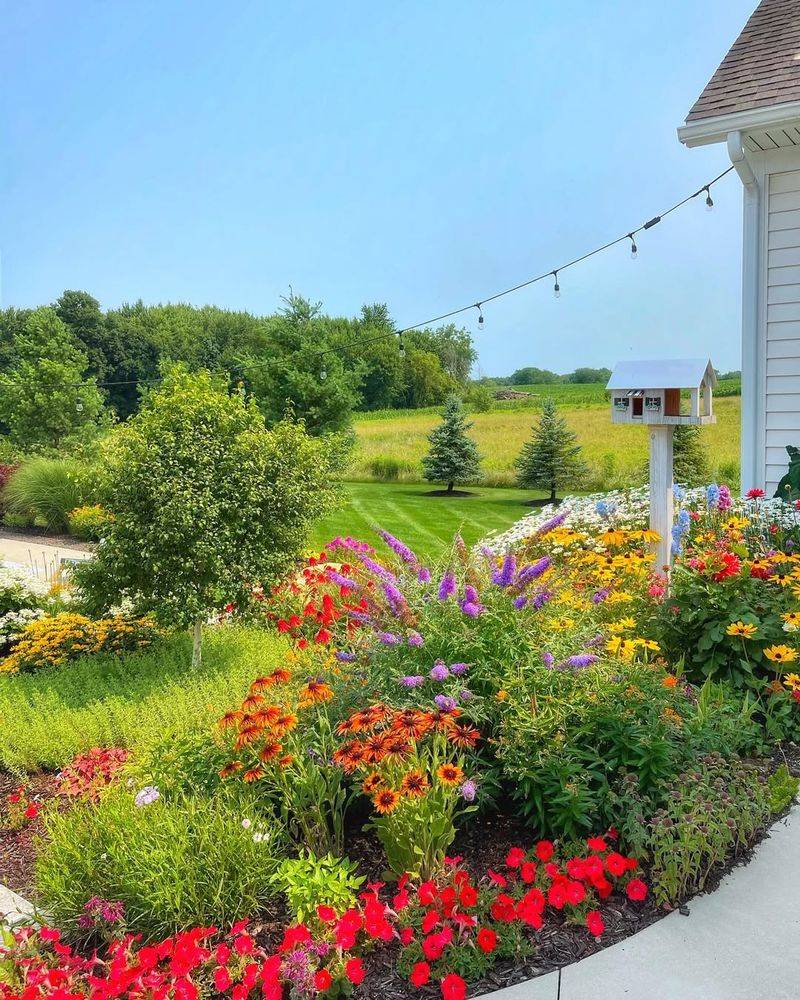 Create Sunny Spots