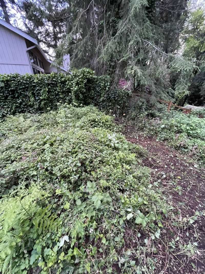Property Value Reduction