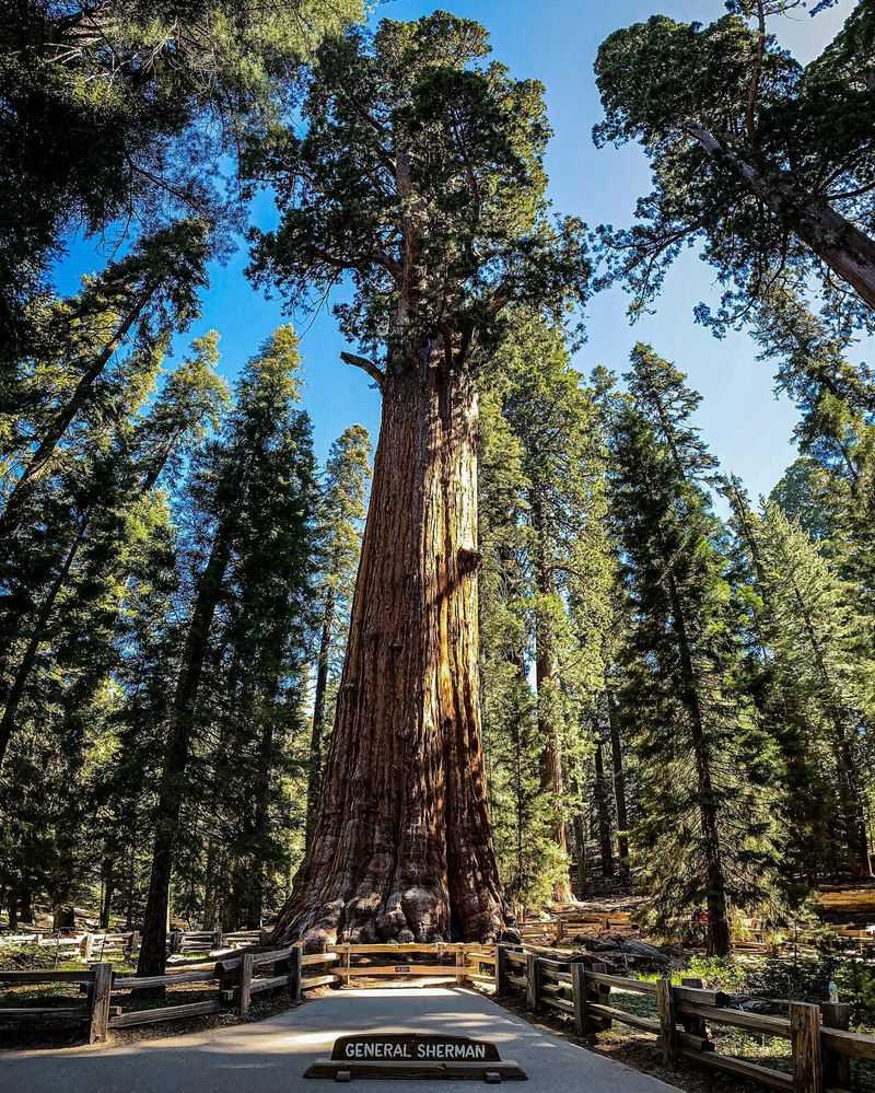 General Sherman