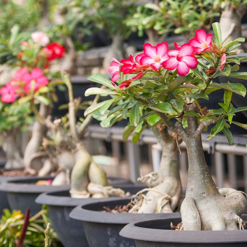Protect New Growth