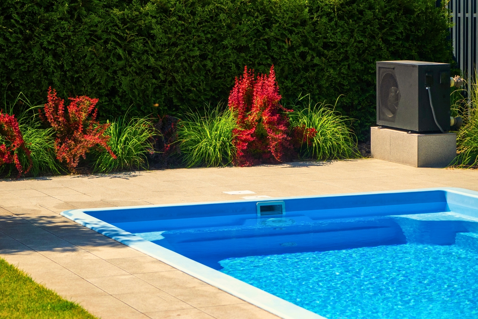 Backyard Pool (featured image)